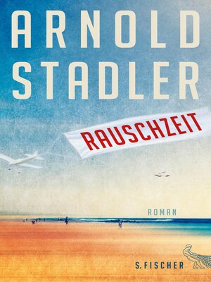 cover image of Rauschzeit